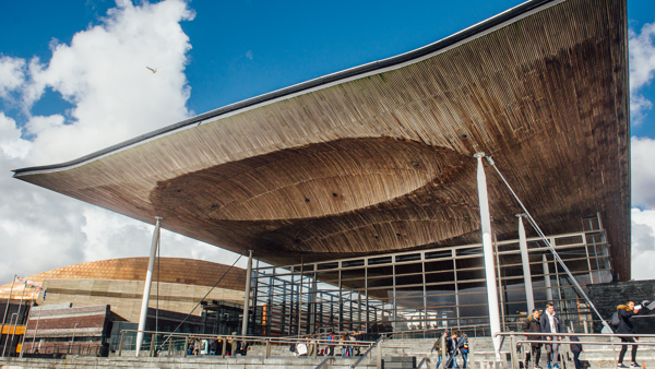 Tu allan i'r Senedd